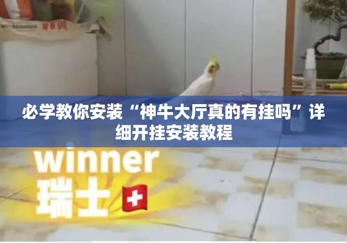 必学教你安装“神牛大厅真的有挂吗”详细开挂安装教程