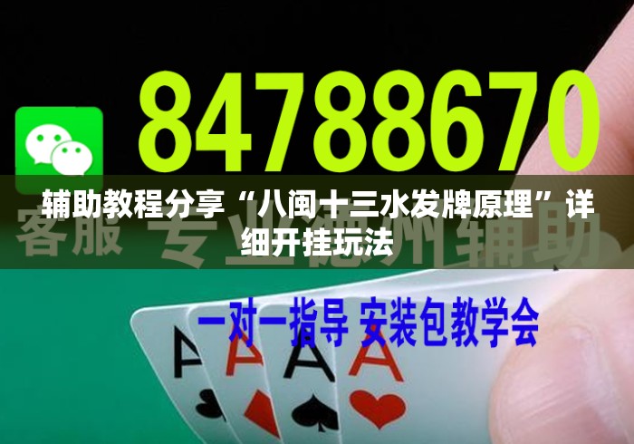 辅助教程分享“八闽十三水发牌原理	”详细开挂玩法