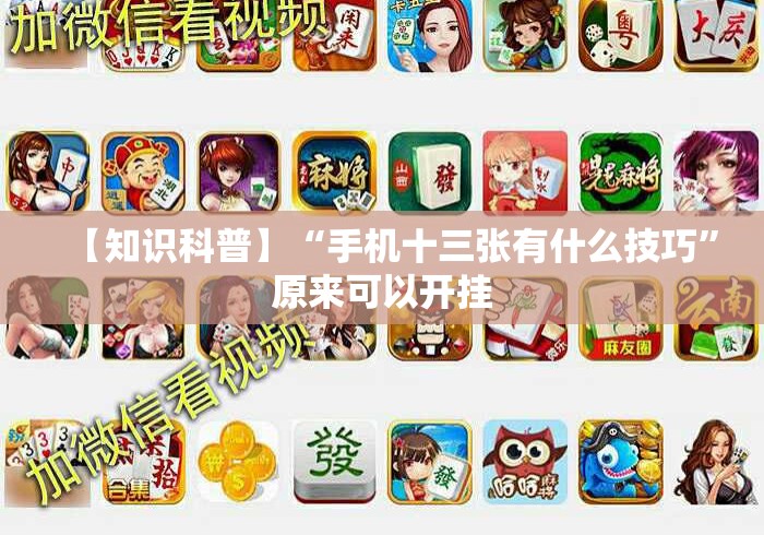 【知识科普】“手机十三张有什么技巧”原来可以开挂