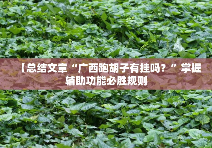【总结文章“广西跑胡子有挂吗？”掌握辅助功能必胜规则