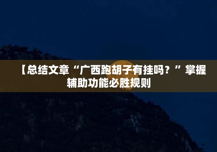 【总结文章“广西跑胡子有挂吗？	”掌握辅助功能必胜规则