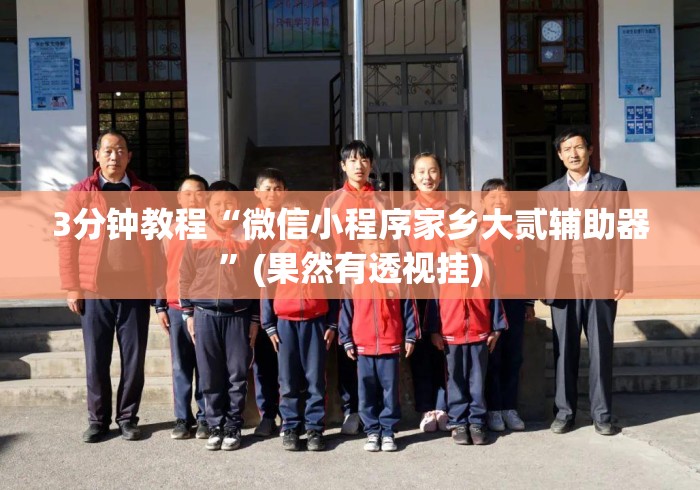 3分钟教程“微信小程序家乡大贰辅助器”(果然有透视挂)