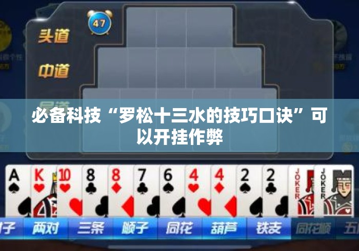必备科技“罗松十三水的技巧口诀	”可以开挂作弊