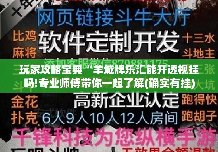 玩家攻略宝典“羊城牌乐汇能开透视挂吗!专业师傅带你一起了解(确实有挂)