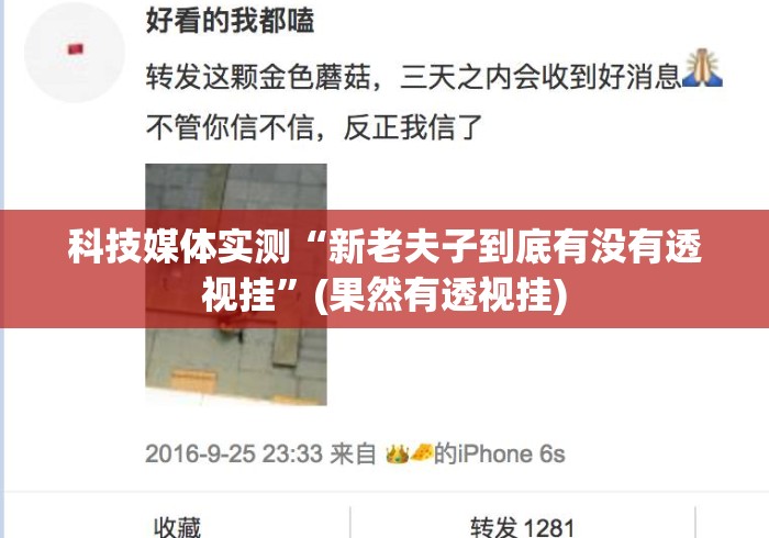 科技媒体实测“新老夫子到底有没有透视挂”(果然有透视挂)