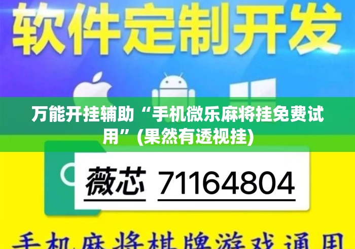 万能开挂辅助“手机微乐麻将挂免费试用	”(果然有透视挂)
