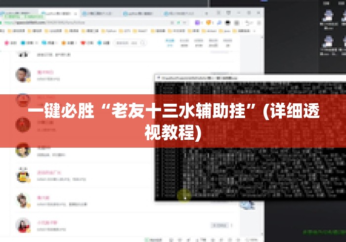 一键必胜“老友十三水辅助挂”(详细透视教程)