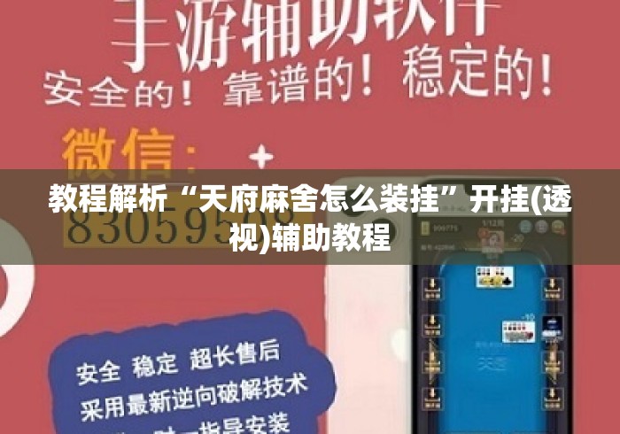 教程解析“天府麻舍怎么装挂	”开挂(透视)辅助教程