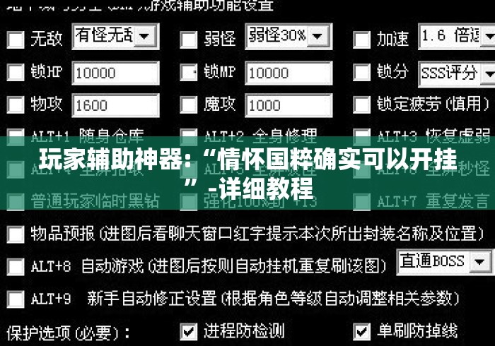 玩家辅助神器:“情怀国粹确实可以开挂”-详细教程