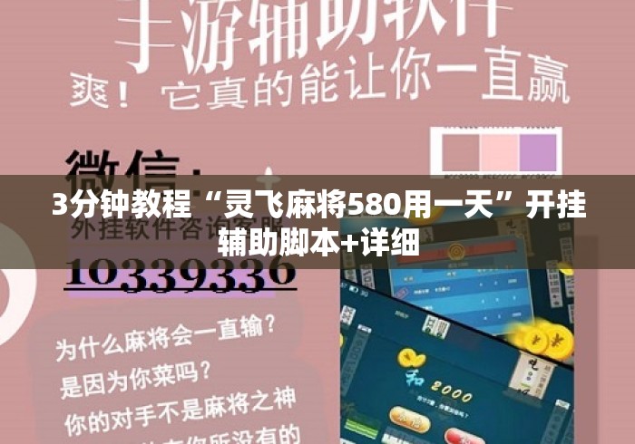 3分钟教程“灵飞麻将580用一天”开挂辅助脚本+详细