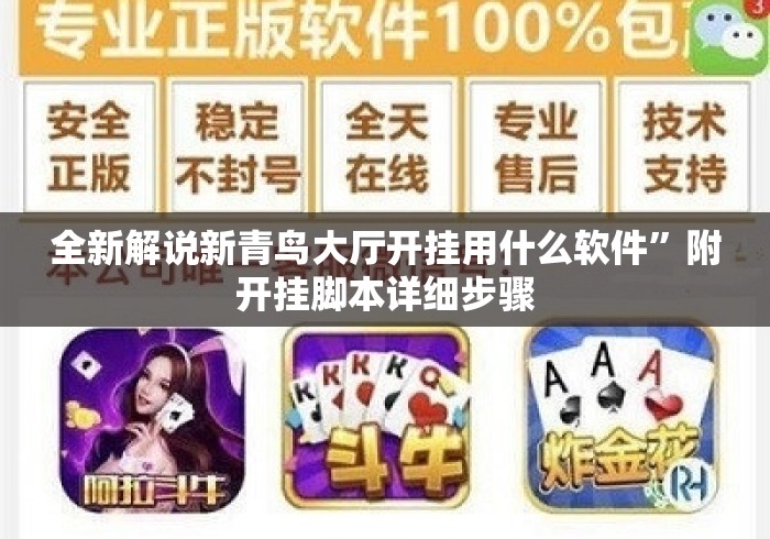 全新解说新青鸟大厅开挂用什么软件	”附开挂脚本详细步骤