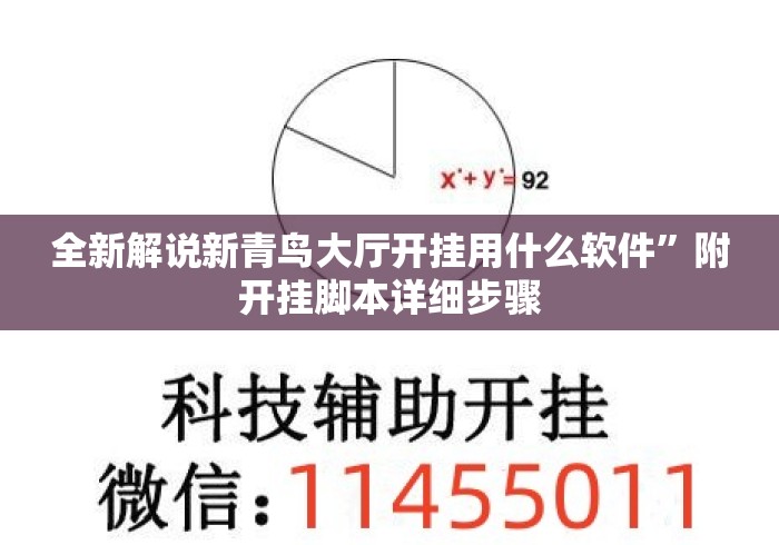 全新解说新青鸟大厅开挂用什么软件”附开挂脚本详细步骤
