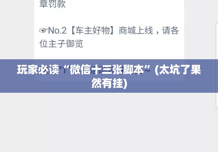 玩家必读“微信十三张脚本”(太坑了果然有挂)