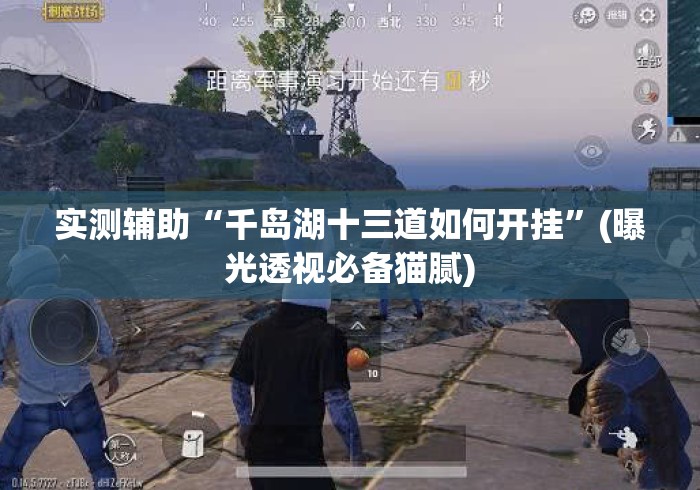 实测辅助“千岛湖十三道如何开挂”(曝光透视必备猫腻)