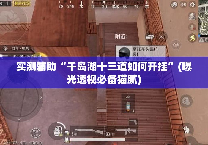 实测辅助“千岛湖十三道如何开挂”(曝光透视必备猫腻)