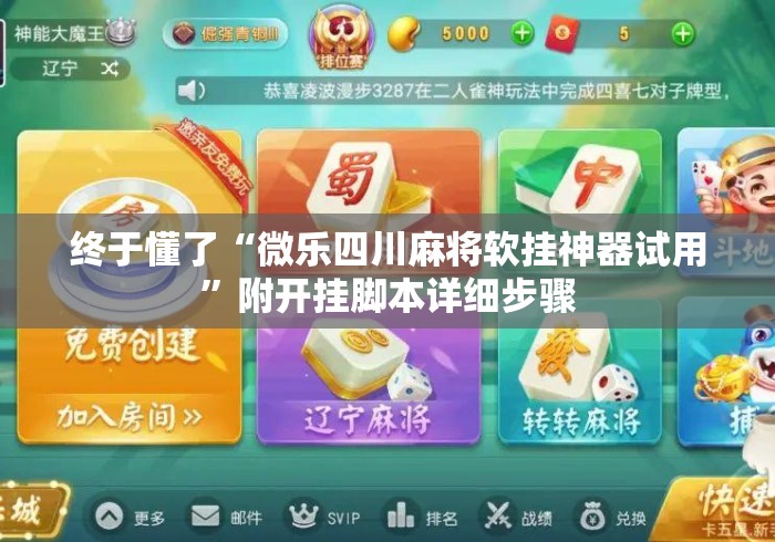 终于懂了“微乐四川麻将软挂神器试用”附开挂脚本详细步骤