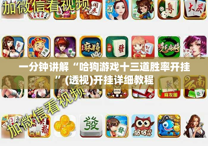 一分钟讲解“哈狗游戏十三道胜率开挂”(透视)开挂详细教程