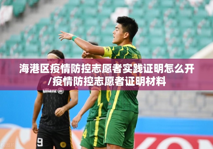 海港区疫情防控志愿者实践证明怎么开/疫情防控志愿者证明材料