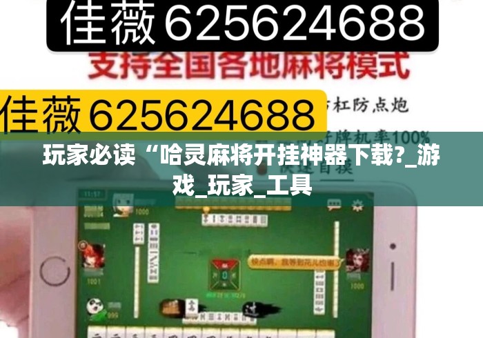 玩家必读“哈灵麻将开挂神器下载?_游戏_玩家_工具