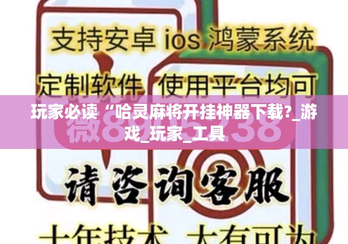 玩家必读“哈灵麻将开挂神器下载?_游戏_玩家_工具