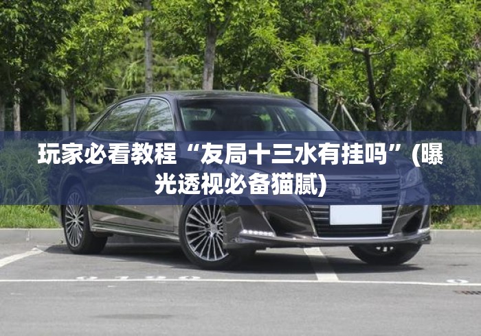玩家必看教程“友局十三水有挂吗”(曝光透视必备猫腻)