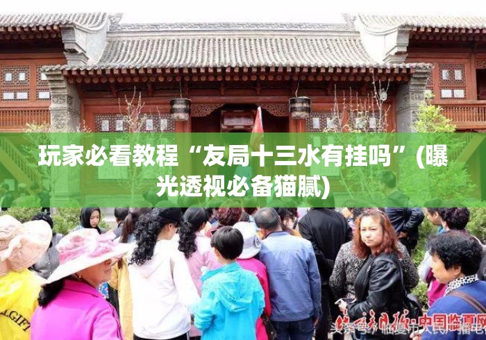 玩家必看教程“友局十三水有挂吗	”(曝光透视必备猫腻)