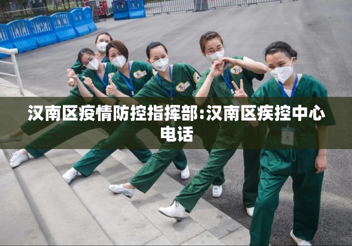 汉南区疫情防控指挥部:汉南区疾控中心电话