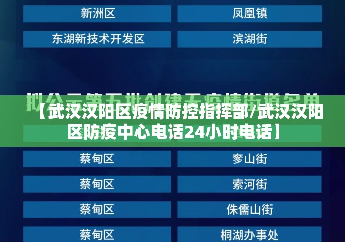 【武汉汉阳区疫情防控指挥部/武汉汉阳区防疫中心电话24小时电话】