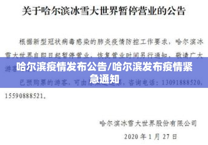 哈尔滨疫情发布公告/哈尔滨发布疫情紧急通知 哈尔滨疫情发布公告/哈尔滨发布疫情紧急通知