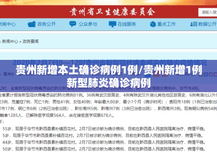 贵州新增本土确诊病例1例/贵州新增1例新型肺炎确诊病例 贵州新增本土确诊病例1例/贵州新增1例新型肺炎确诊病例