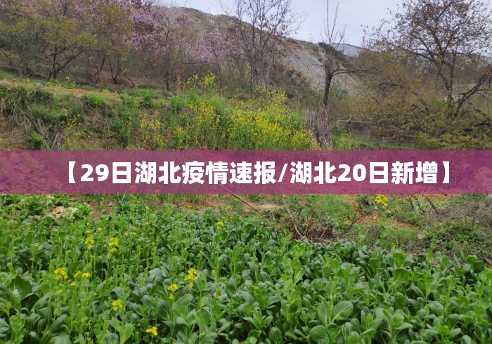 【29日湖北疫情速报/湖北20日新增】 【29日湖北疫情速报/湖北20日新增】