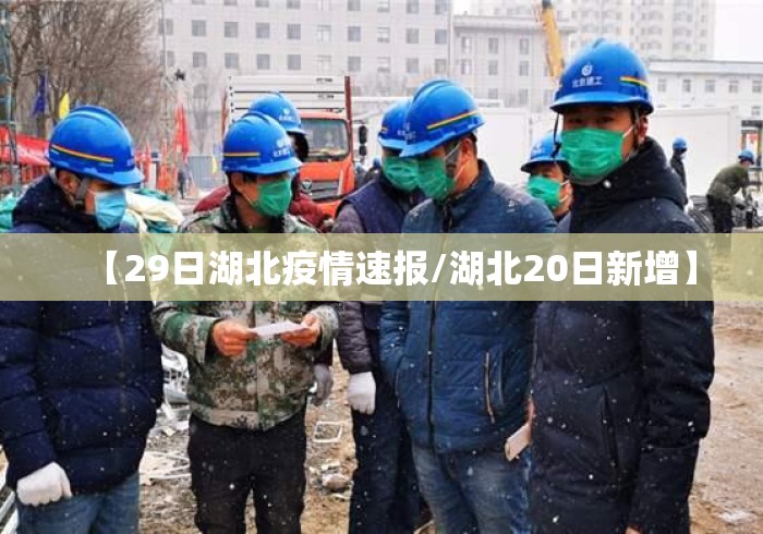 【29日湖北疫情速报/湖北20日新增】 【29日湖北疫情速报/湖北20日新增】