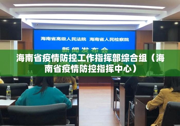 海南省疫情防控工作指挥部综合组（海南省疫情防控指挥中心）