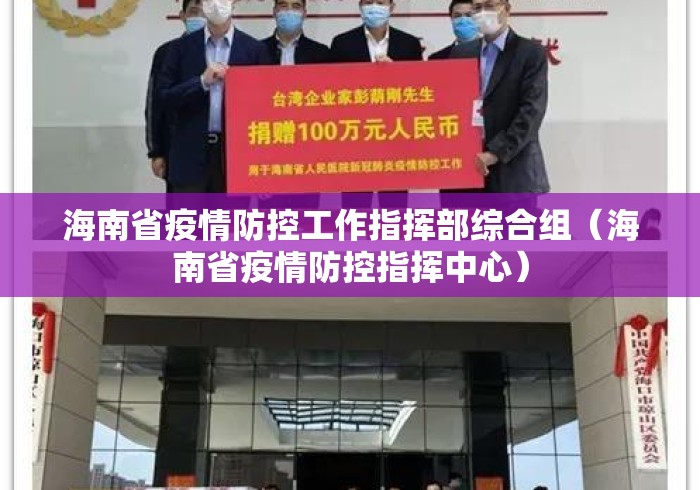 海南省疫情防控工作指挥部综合组（海南省疫情防控指挥中心）