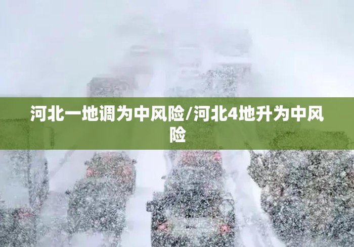 河北一地调为中风险/河北4地升为中风险 河北一地调为中风险/河北4地升为中风险