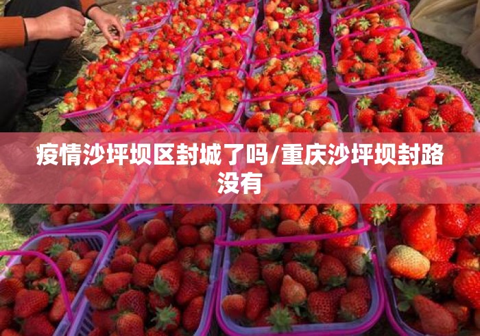 疫情沙坪坝区封城了吗/重庆沙坪坝封路没有