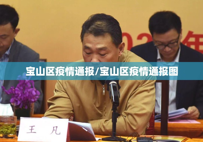 宝山区疫情通报/宝山区疫情通报图 宝山区疫情通报/宝山区疫情通报图