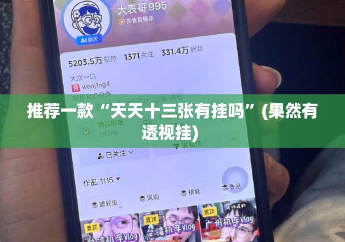 推荐一款“天天十三张有挂吗”(果然有透视挂) 