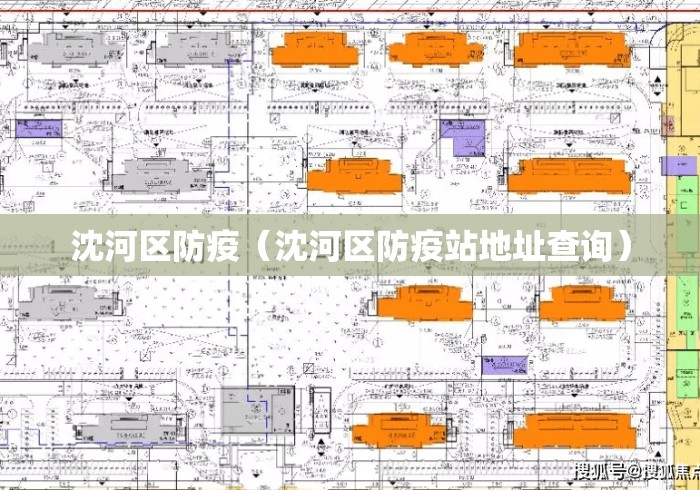 沈河区防疫（沈河区防疫站地址查询）