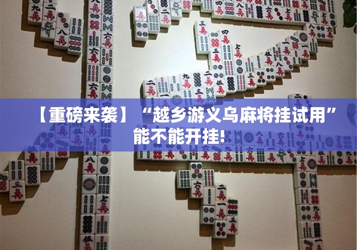 【重磅来袭】“越乡游义乌麻将挂试用”能不能开挂!