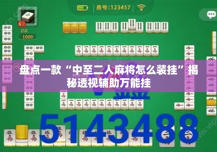 盘点一款“中至二人麻将怎么装挂”揭秘透视辅助万能挂