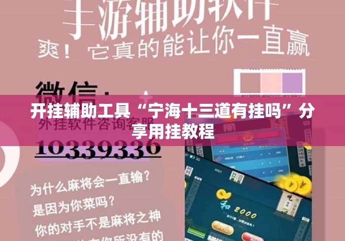 开挂辅助工具“宁海十三道有挂吗”分享用挂教程