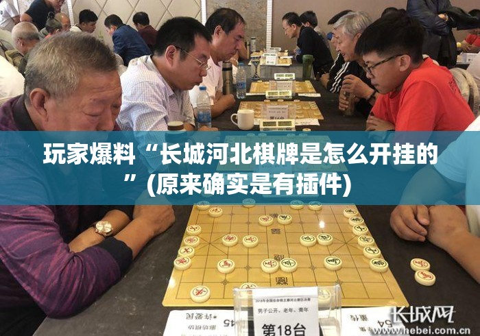 玩家爆料“长城河北棋牌是怎么开挂的”(原来确实是有插件) 
