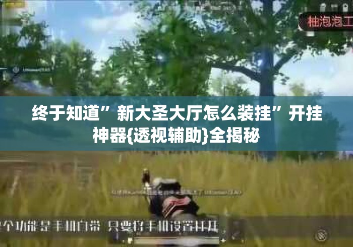终于知道”新大圣大厅怎么装挂	”开挂神器{透视辅助}全揭秘