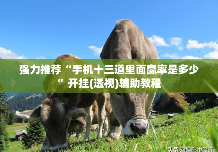 强力推荐“手机十三道里面赢率是多少	”开挂(透视)辅助教程