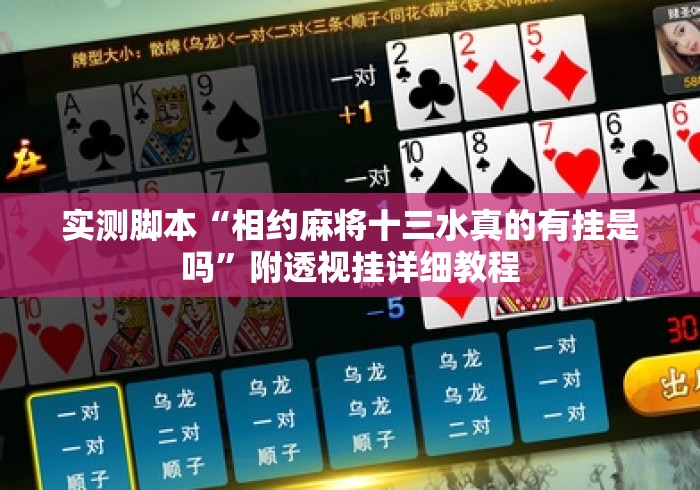 实测脚本“相约麻将十三水真的有挂是吗”附透视挂详细教程