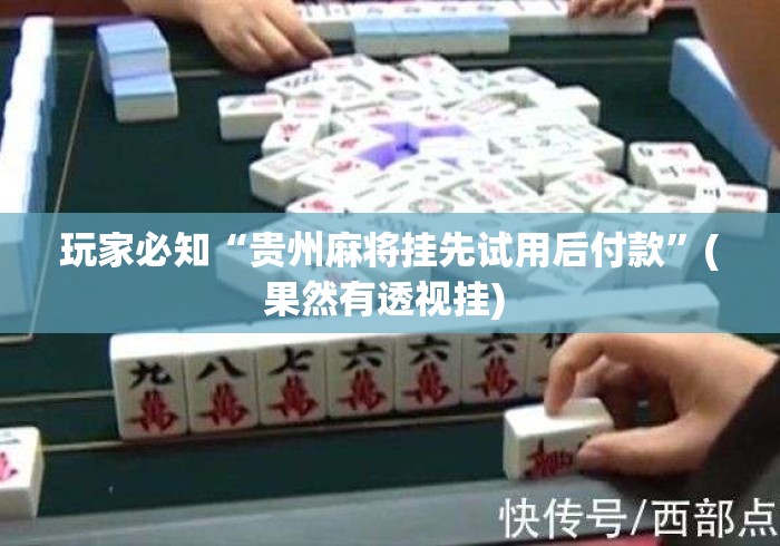 玩家必知“贵州麻将挂先试用后付款”(果然有透视挂) 