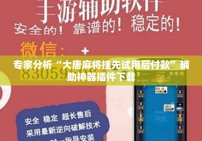 专家分析“大唐麻将挂先试用后付款”辅助神器插件下载