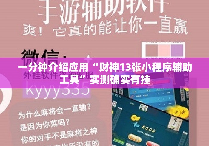 一分钟介绍应用“财神13张小程序辅助工具”实测确实有挂