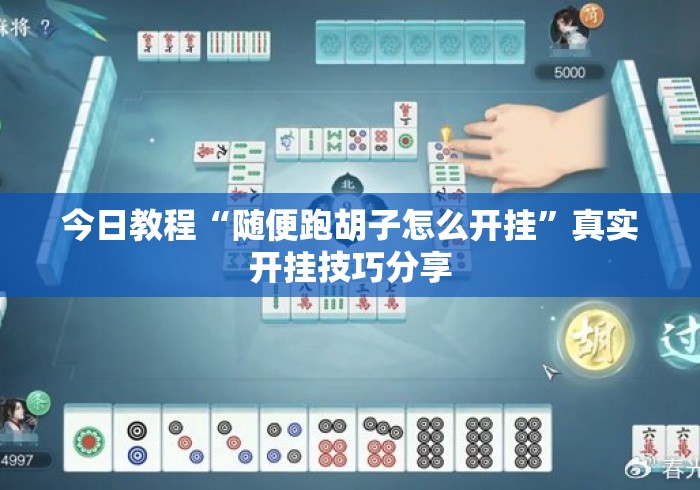 今日教程“随便跑胡子怎么开挂”真实开挂技巧分享